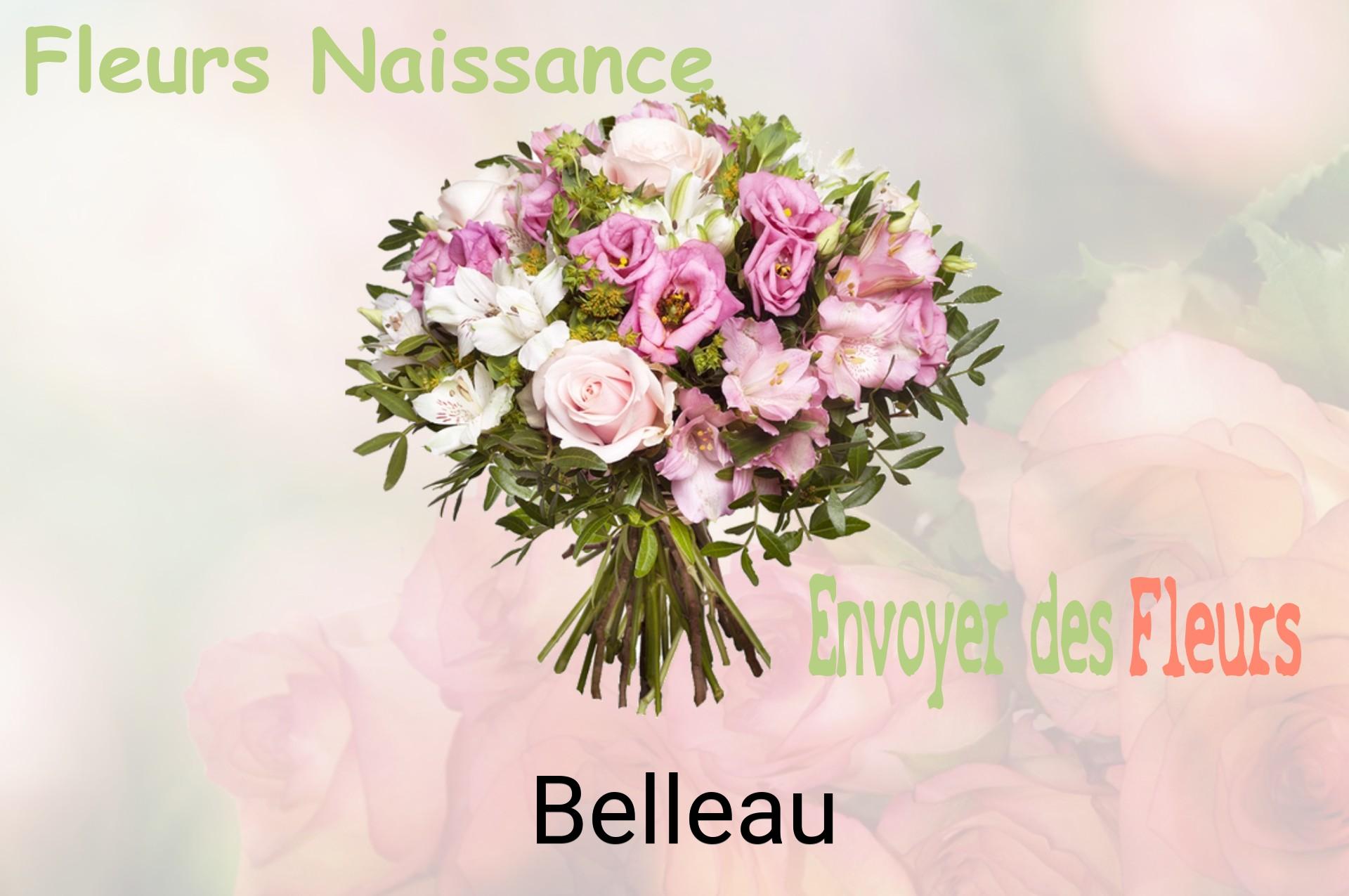 Bouquet de fleurs de naissance livré à Belleau